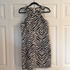 Michael Korea’s Zebra Print Dress